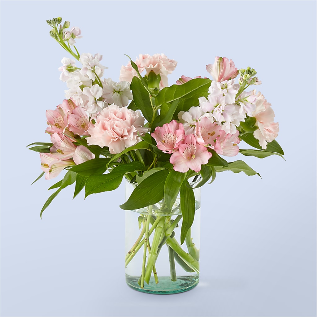At the Ballet Bouquet – MAISON DES FLEUR BLOSSOME, Laval PQ