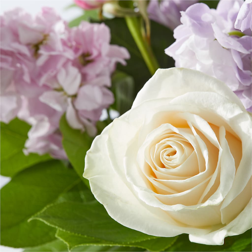 Springtime Spritz Bouquet –  Maison Des Fleurs Blossome Inc, Lachine PQ