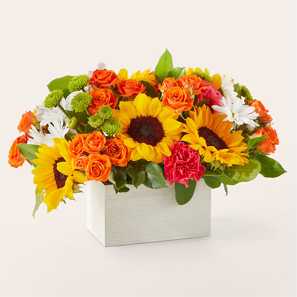 Sun-drenched Blooms Box Bouquet – MAISON DES FLEUR BLOSSOME, Laval PQ