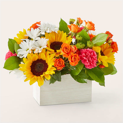 Sun-drenched Blooms Box Bouquet – MAISON DES FLEUR BLOSSOME, Laval PQ