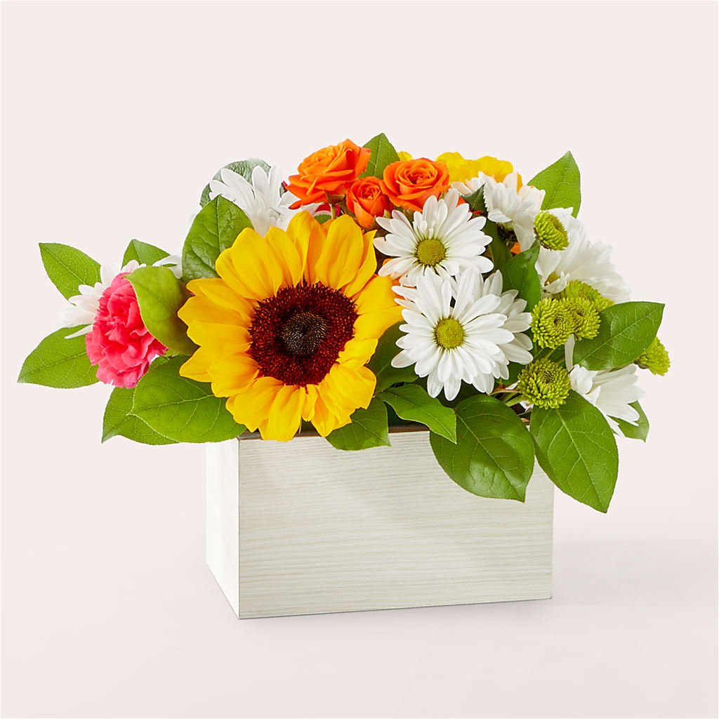Sun-drenched Blooms Box Bouquet – MAISON DES FLEUR BLOSSOME, Laval PQ
