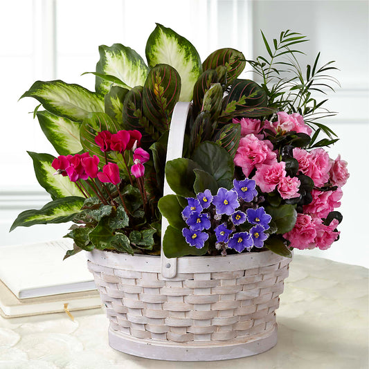 Peaceful Garden Planter –  Maison Des Fleur Blossome, Laval PQ