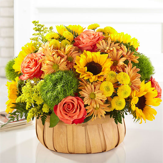Harvest Sunflower Basket –  Maison Des Fleur Blossome, Laval PQ