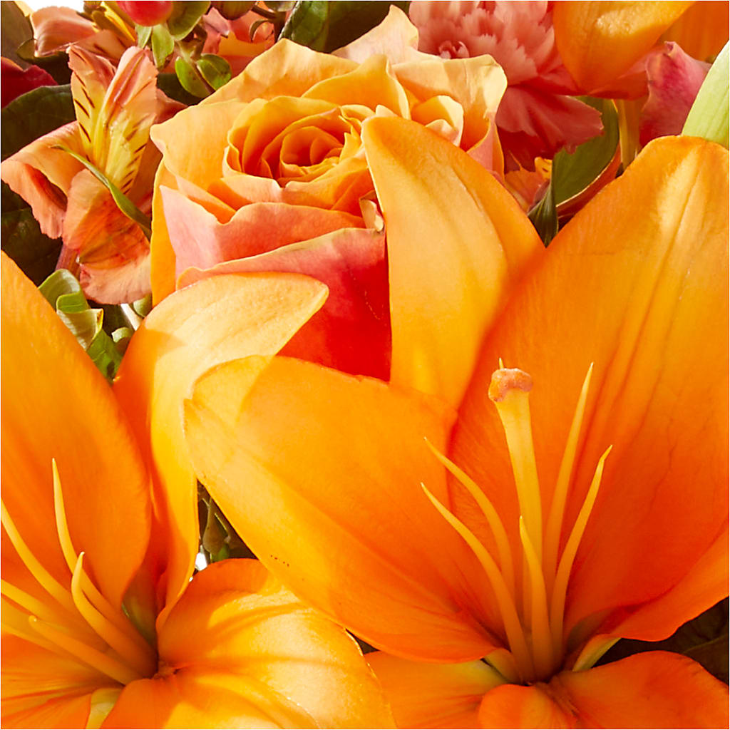 Afternoon Light Bouquet –  Maison Des Fleurs Blossome Inc, Lachine PQ