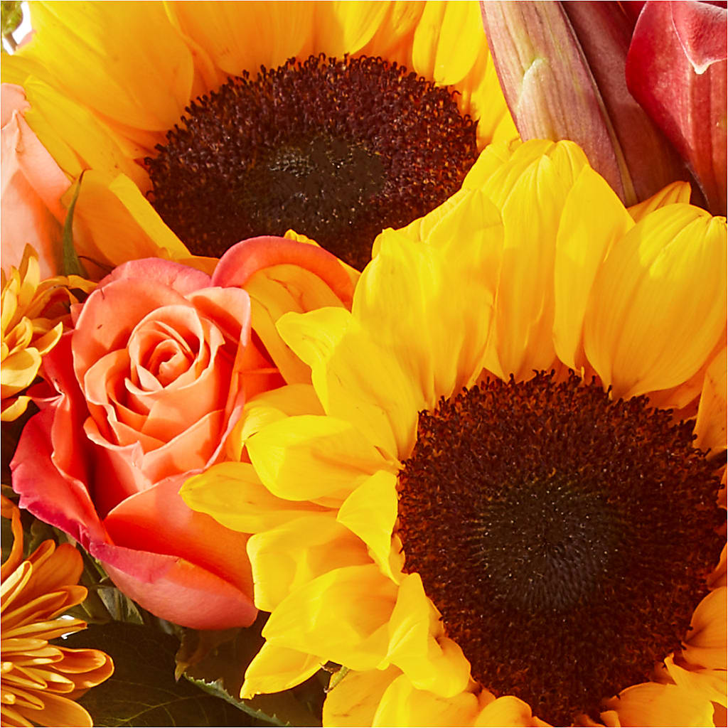 Acorn Lane Bouquet –  Maison Des Fleurs Blossome Inc, Lachine PQ