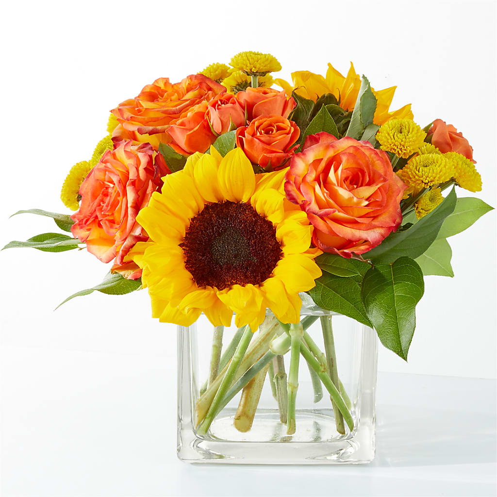 Picnic in the Park Bouquet –  Maison Des Fleur Blossome, Laval PQ