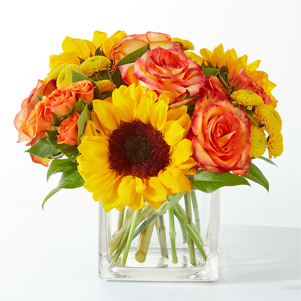 Picnic in the Park Bouquet –  Maison Des Fleur Blossome, Laval PQ