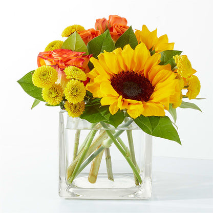 Picnic in the Park Bouquet –  Maison Des Fleur Blossome, Laval PQ