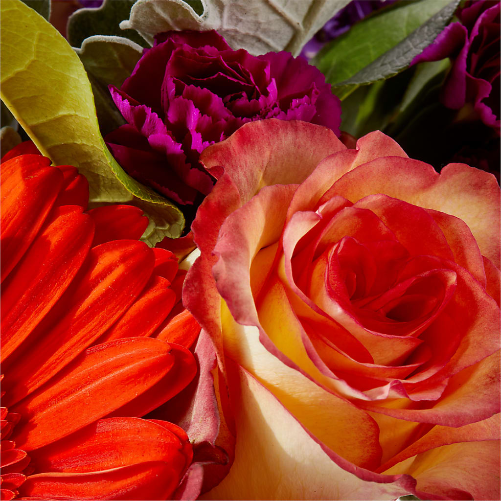 Sangria Bouquet –  Maison Des Fleurs Blossome Inc, Lachine PQ