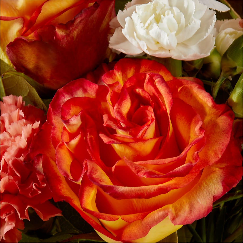 Apricot Glow Bouquet –  Maison Des Fleurs Blossome Inc, Lachine PQ
