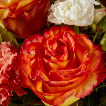 Apricot Glow Bouquet –  Maison Des Fleurs Blossome Inc, Lachine PQ