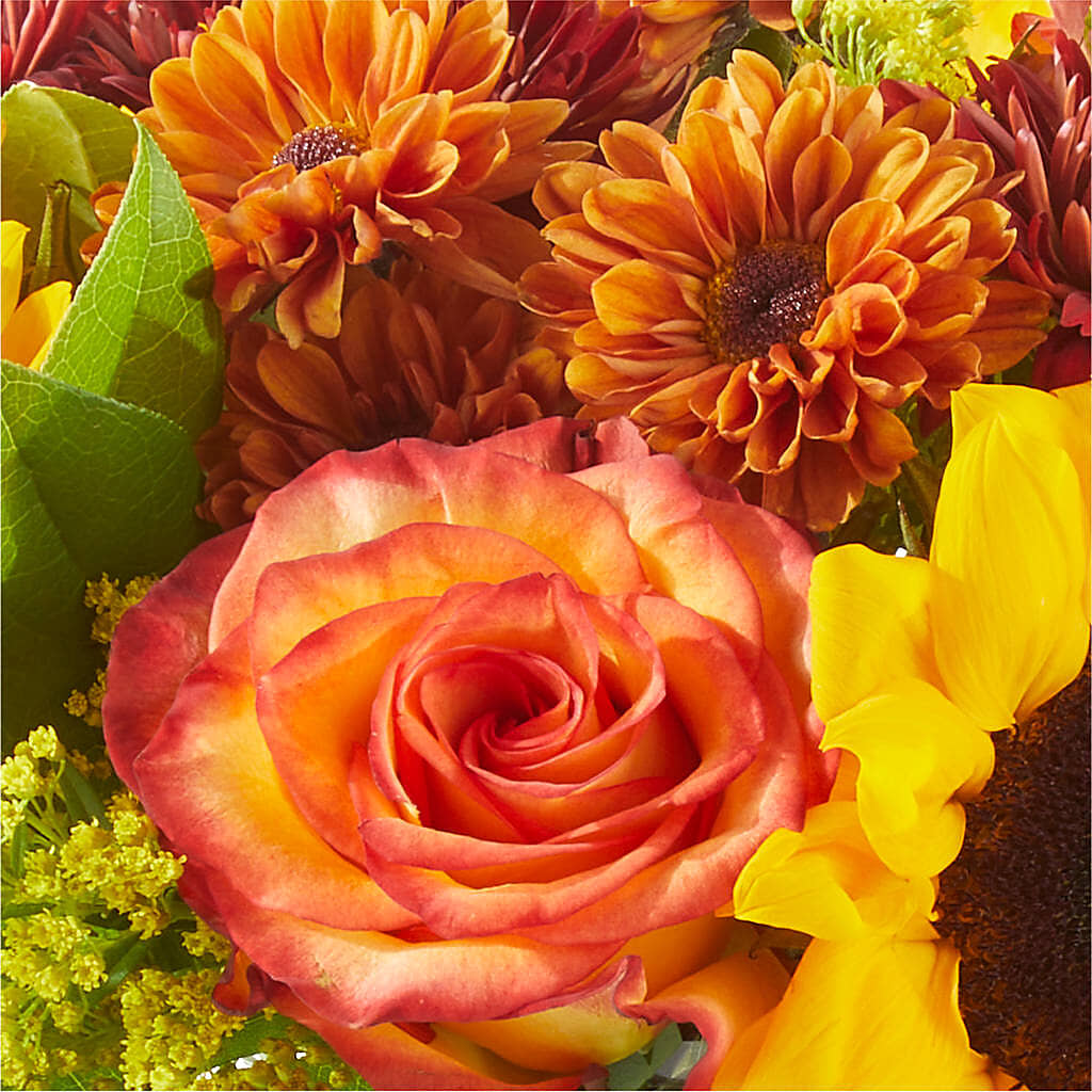 Flannel Scarf Bouquet –  Maison Des Fleurs Blossome Inc, Lachine PQ
