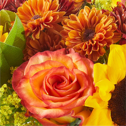 Flannel Scarf Bouquet –  Maison Des Fleurs Blossome Inc, Lachine PQ