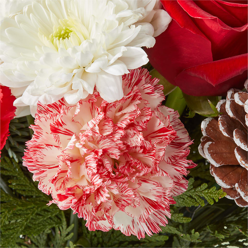 Candy Cane Lane Bouquet –  Maison Des Fleurs Blossome Inc, Lachine PQ