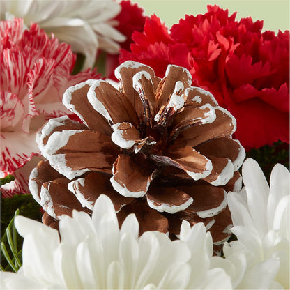 Candy Cane Lane Bouquet –  Maison Des Fleurs Blossome Inc, Lachine PQ