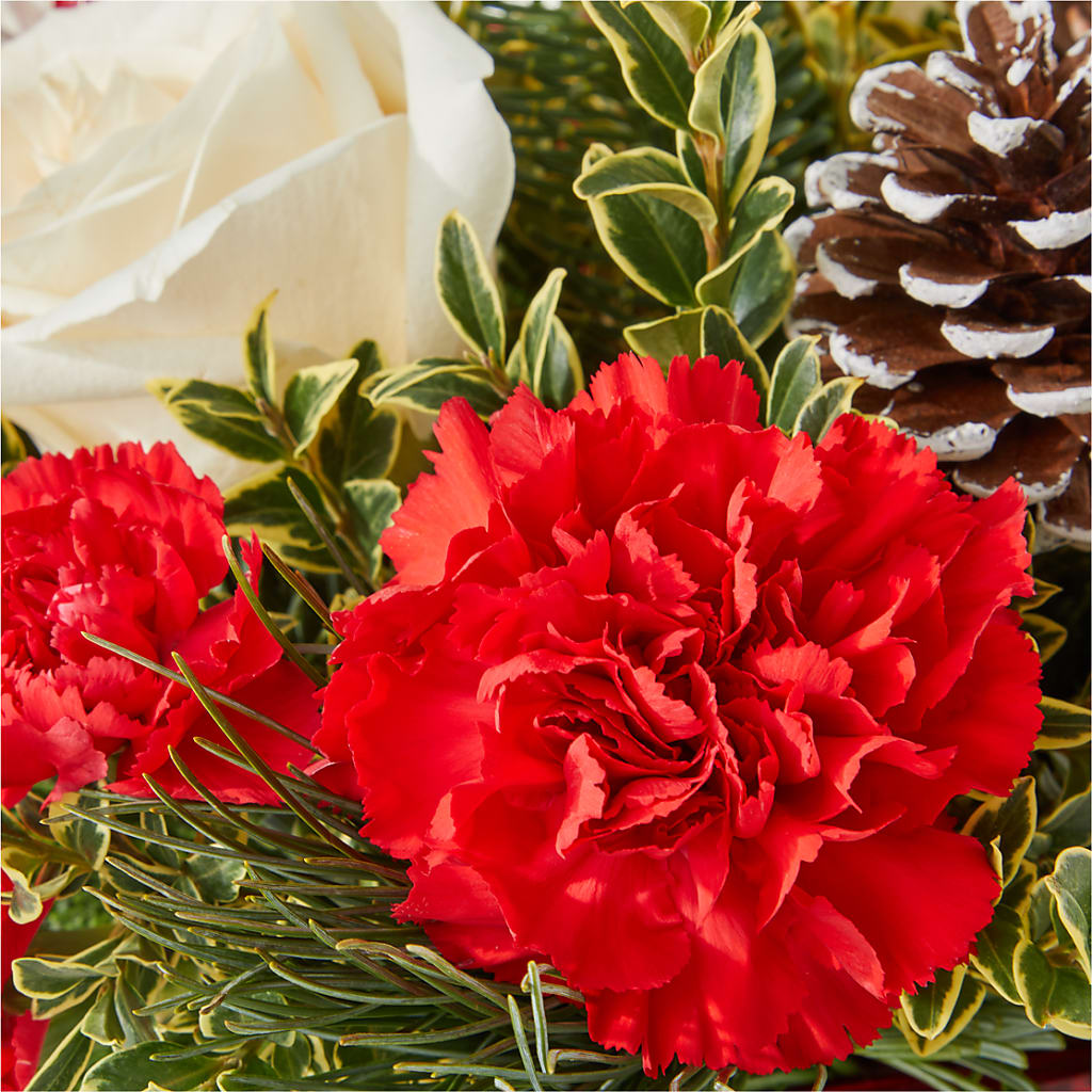 Christmas Market Bouquet –  Maison Des Fleurs Blossome Inc, Lachine PQ