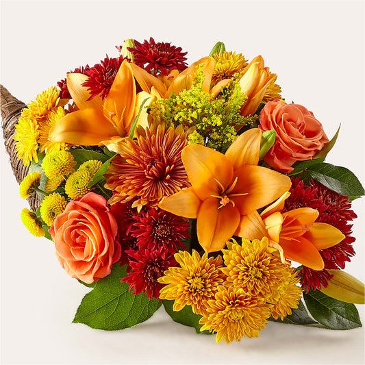 Feast of Color Cornucopia –  Maison Des Fleur Blossome, Laval PQ