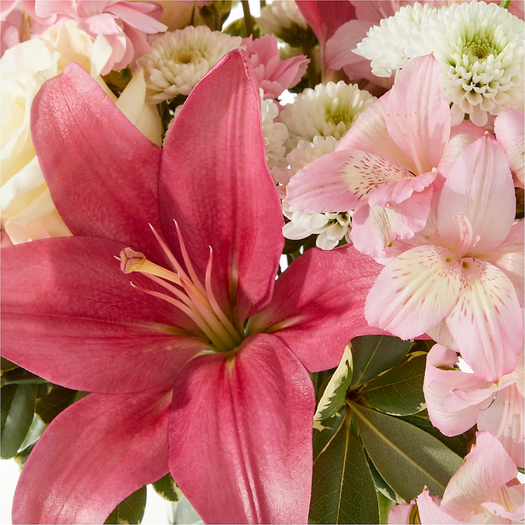 Piece of Cake Bouquet –  Maison Des Fleurs Blossome Inc, Lachine PQ