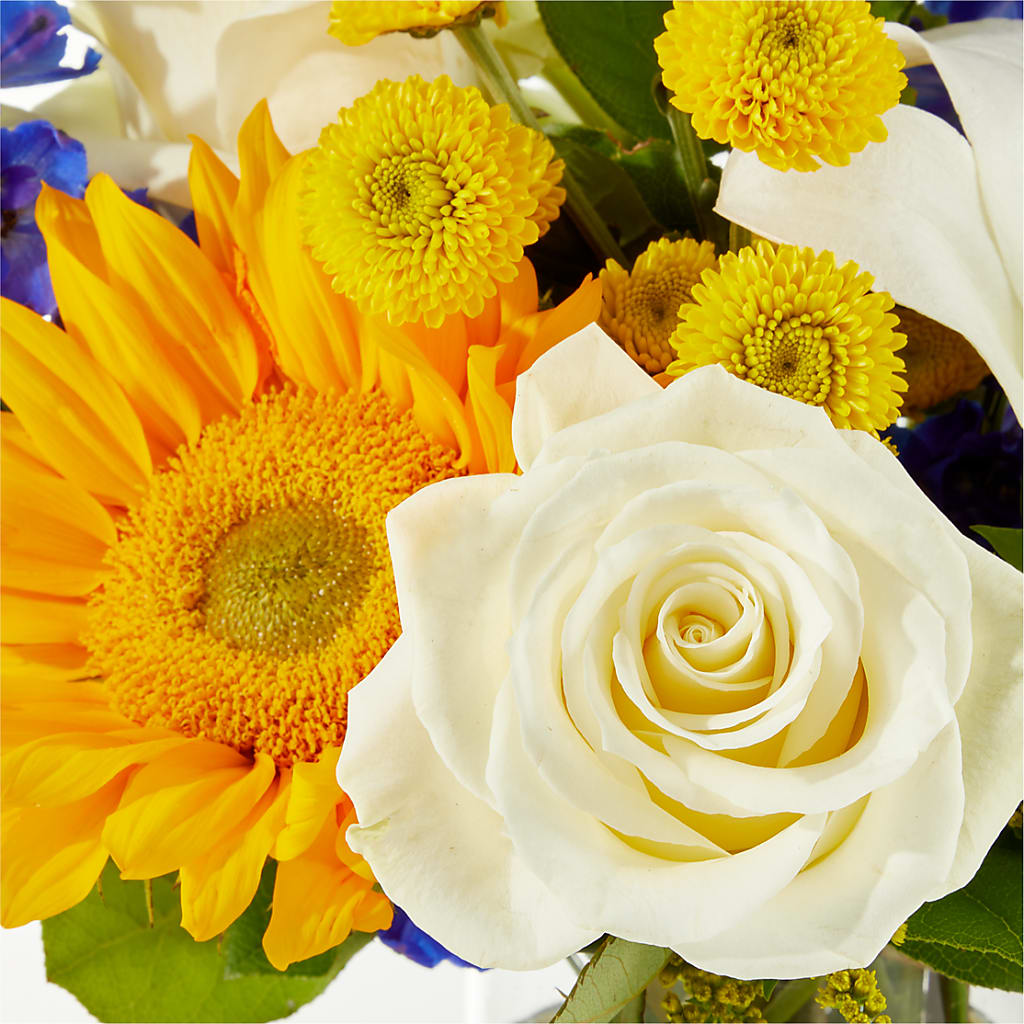 Stargazing Bouquet –  Maison Des Fleurs Blossome Inc, Lachine PQ