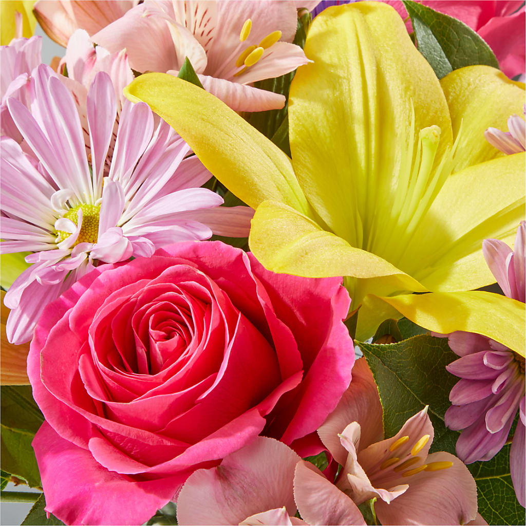 Sprinkles Bouquet –  Maison Des Fleurs Blossome Inc, Lachine PQ