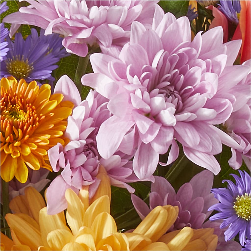 Countryside Bouquet –  Maison Des Fleurs Blossome Inc, Lachine PQ