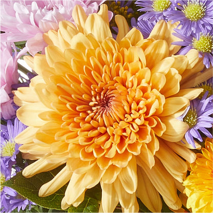 Countryside Bouquet –  Maison Des Fleurs Blossome Inc, Lachine PQ