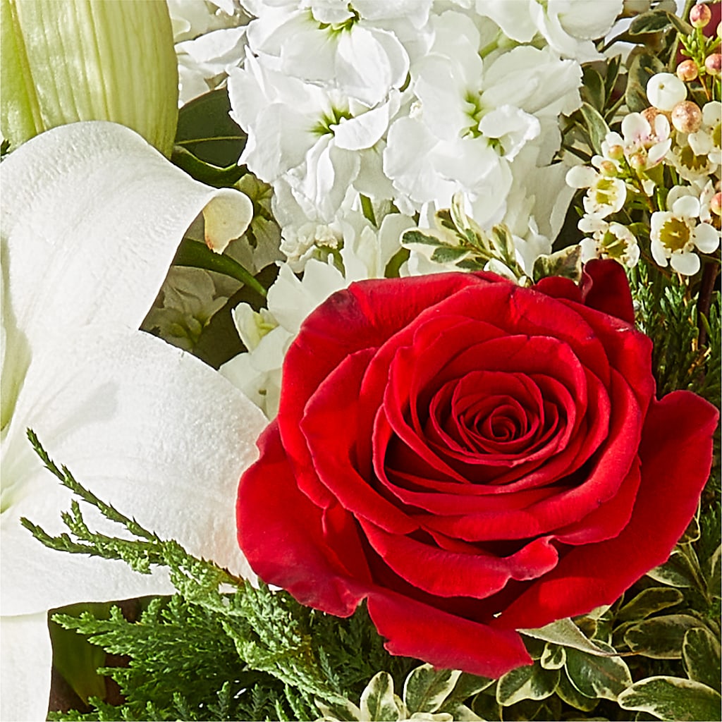 Twinkle Lights Bouquet –  Maison Des Fleurs Blossome Inc, Lachine PQ