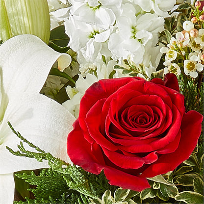 Twinkle Lights Bouquet –  Maison Des Fleurs Blossome Inc, Lachine PQ