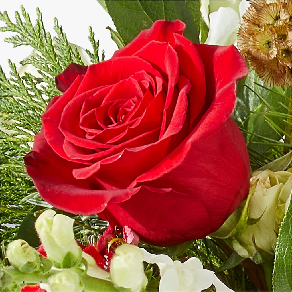 Deck the Halls Bouquet –  Maison Des Fleurs Blossome Inc, Lachine PQ