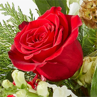 Deck the Halls Bouquet –  Maison Des Fleurs Blossome Inc, Lachine PQ