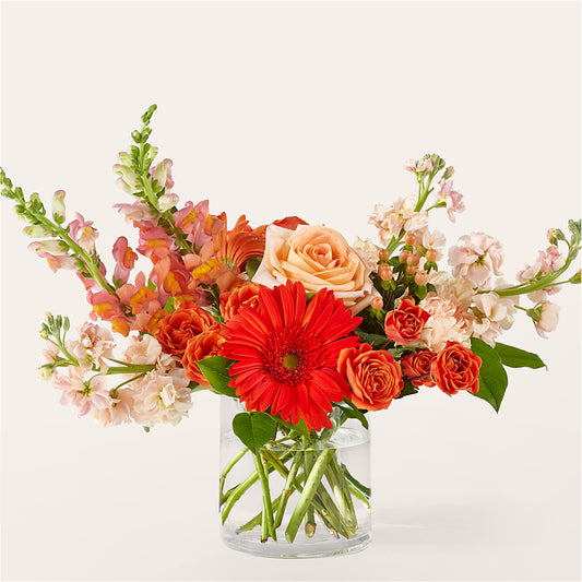 Paloma Please Bouquet –  Maison Des Fleur Blossome, Laval PQ