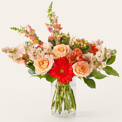 Paloma Please Bouquet – MAISON DES FLEUR BLOSSOME, Laval PQ