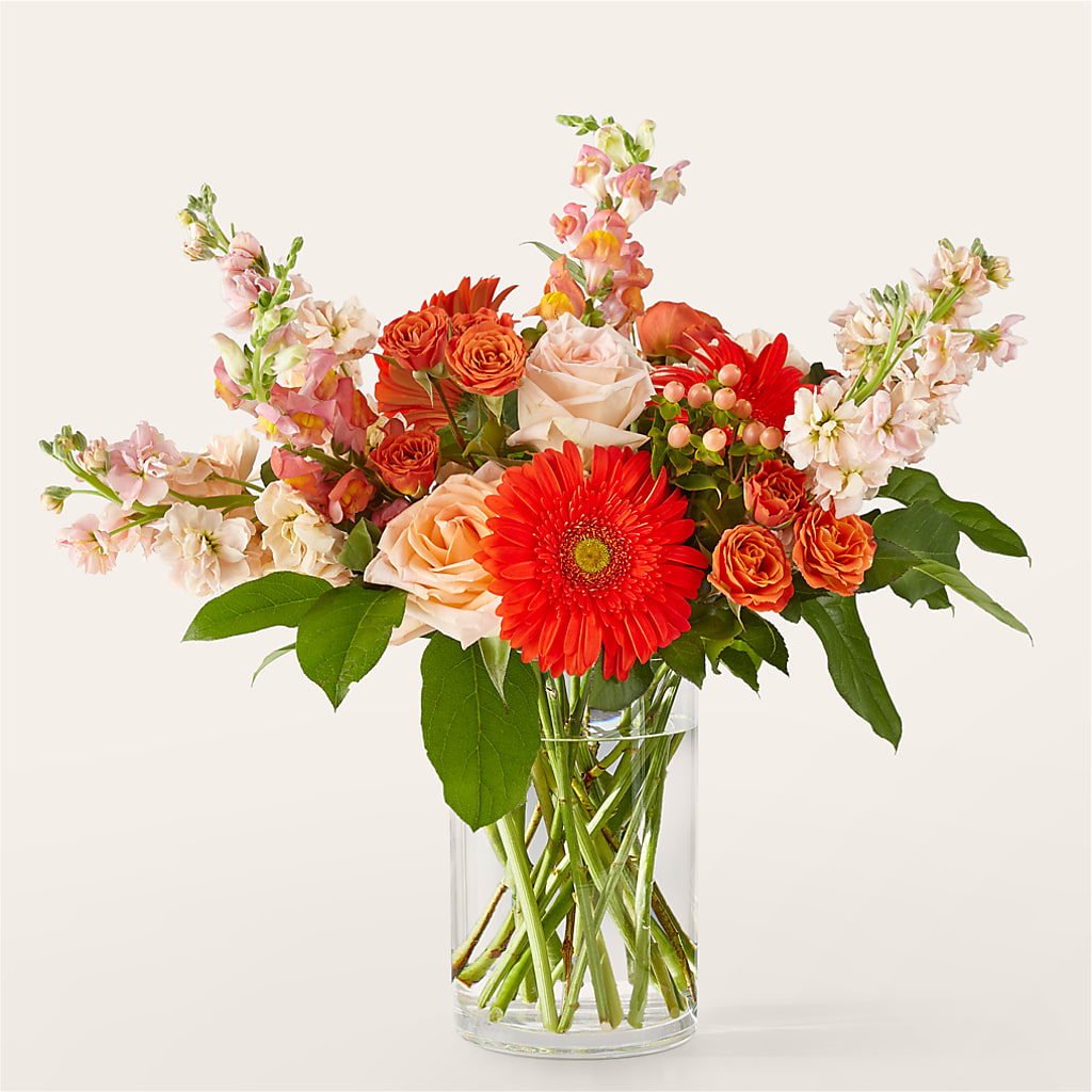 Paloma Please Bouquet – MAISON DES FLEUR BLOSSOME, Laval PQ