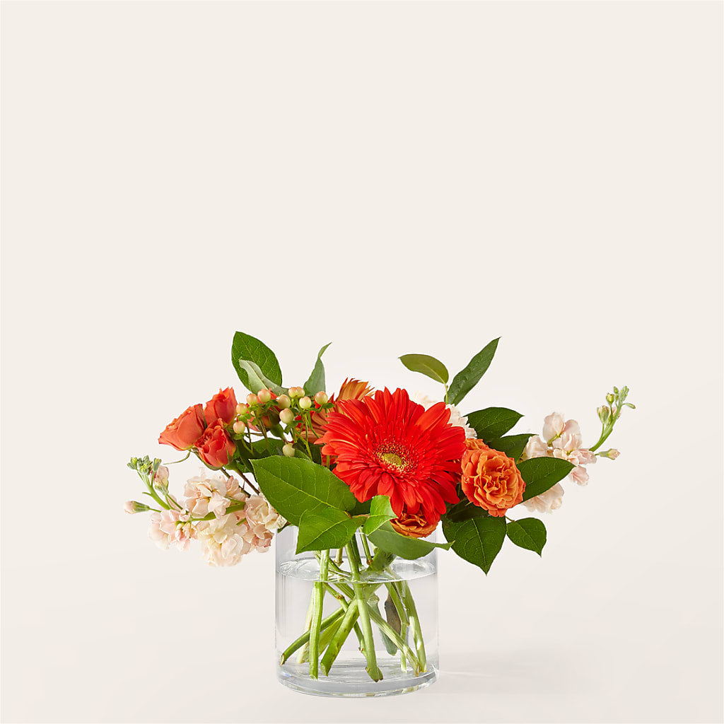 Paloma Please Bouquet – MAISON DES FLEUR BLOSSOME, Laval PQ