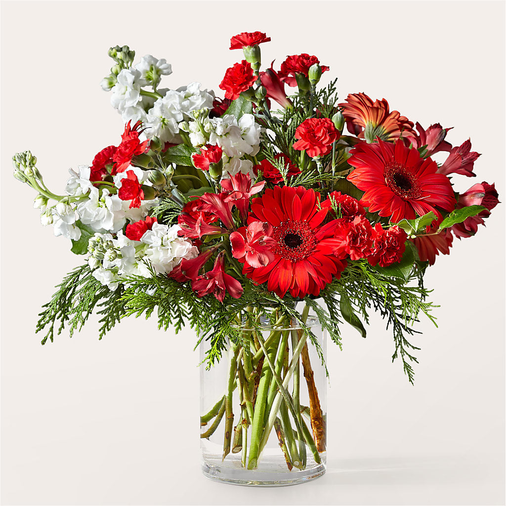 Holidaisy Bouquet –  Maison Des Fleur Blossome, Laval PQ