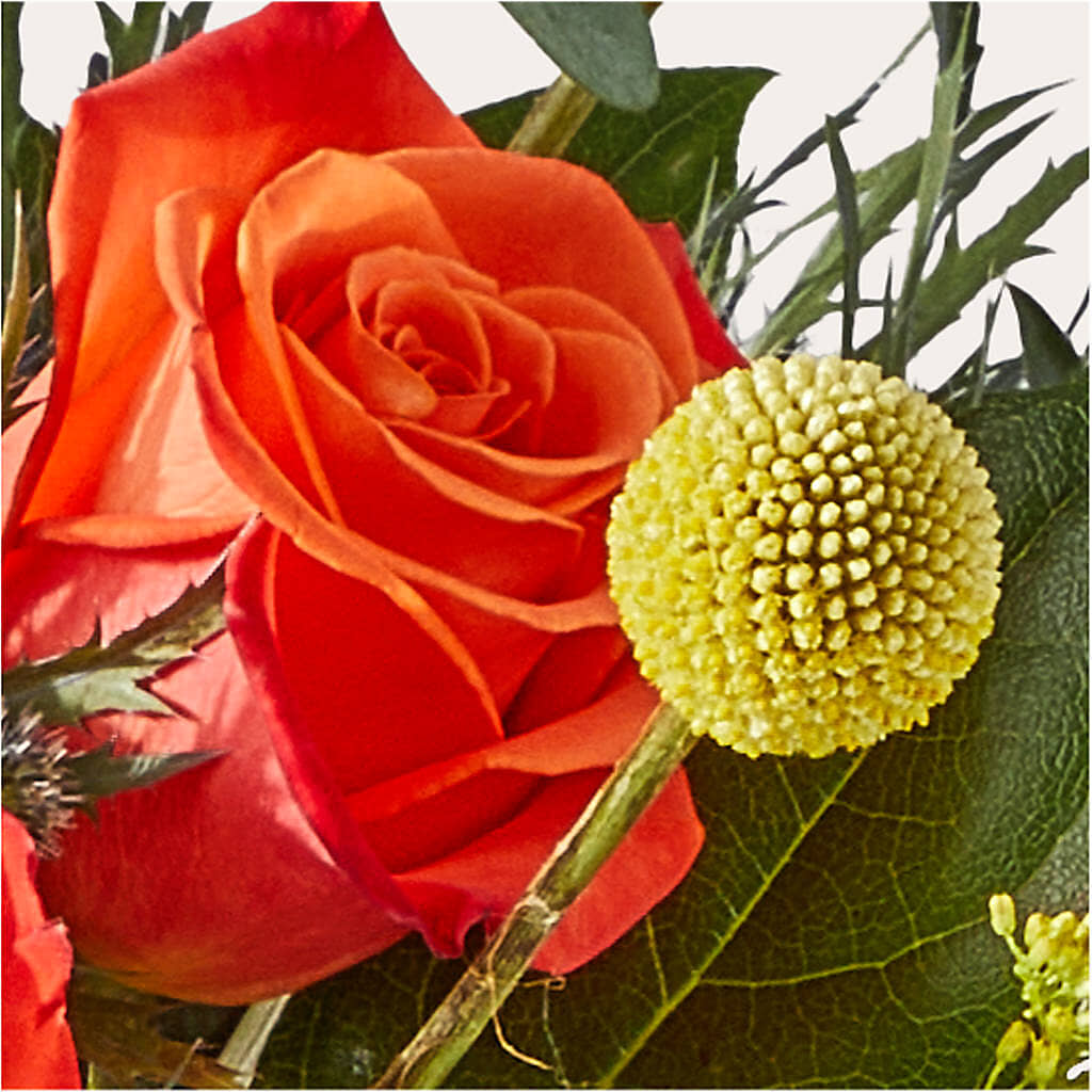 Disco Bouquet –  Maison Des Fleurs Blossome Inc, Lachine PQ