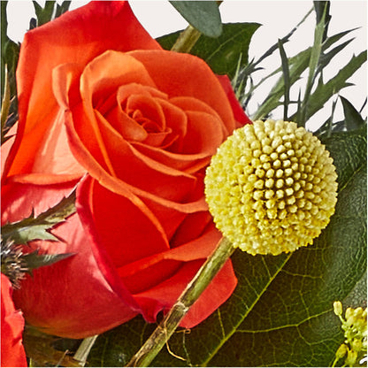 Disco Bouquet –  Maison Des Fleurs Blossome Inc, Lachine PQ