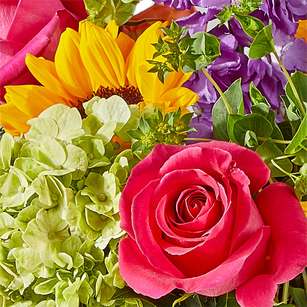 Vibrant Greetings Bouquet –  Maison Des Fleurs Blossome Inc, Lachine PQ