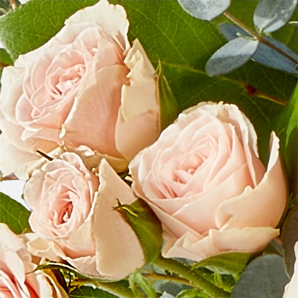 Inspired Bouquet –  Maison Des Fleurs Blossome Inc, Lachine PQ