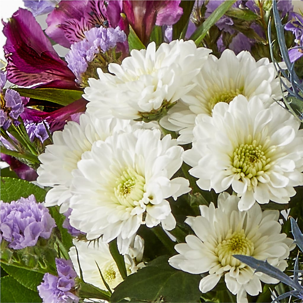 Shooting Star Bouquet –  Maison Des Fleurs Blossome Inc, Lachine PQ