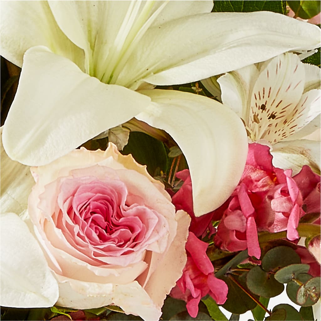Ballet Slippers Bouquet –  Maison Des Fleurs Blossome Inc, Lachine PQ