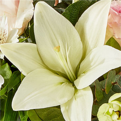 Ballet Slippers Bouquet –  Maison Des Fleurs Blossome Inc, Lachine PQ