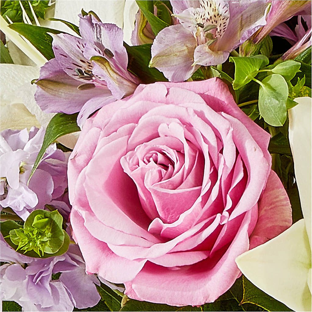 Daydreamer Bouquet –  Maison Des Fleurs Blossome Inc, Lachine PQ