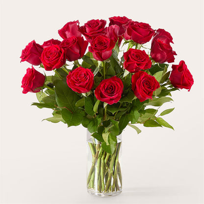 The One Red Rose Bouquet –  Maison Des Fleurs Blossome Inc, Lachine PQ