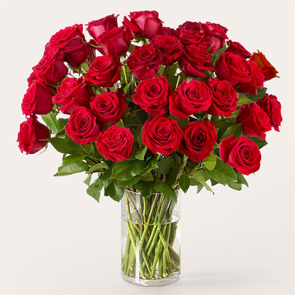 The One Red Rose Bouquet –  Maison Des Fleurs Blossome Inc, Lachine PQ
