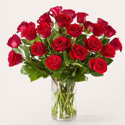 The One Red Rose Bouquet –  Maison Des Fleurs Blossome Inc, Lachine PQ