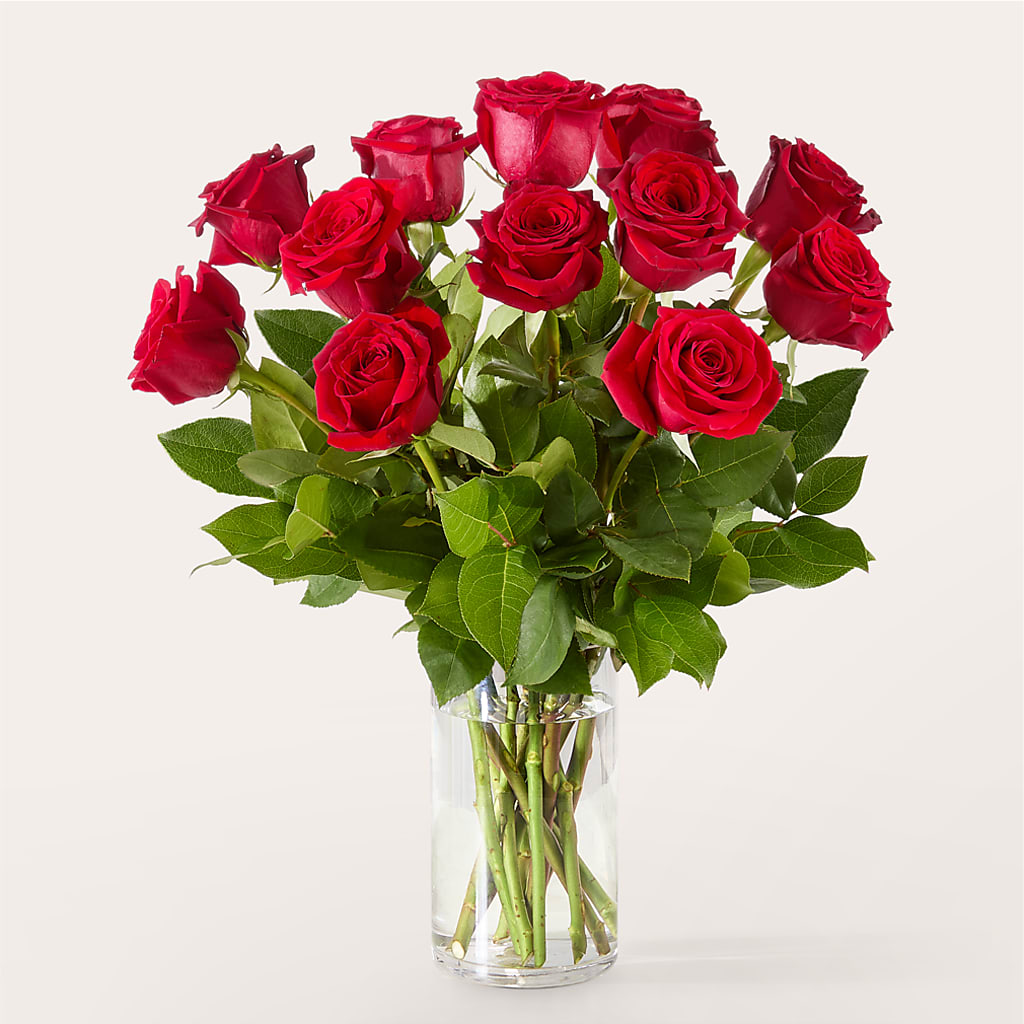The One Red Rose Bouquet –  Maison Des Fleurs Blossome Inc, Lachine PQ