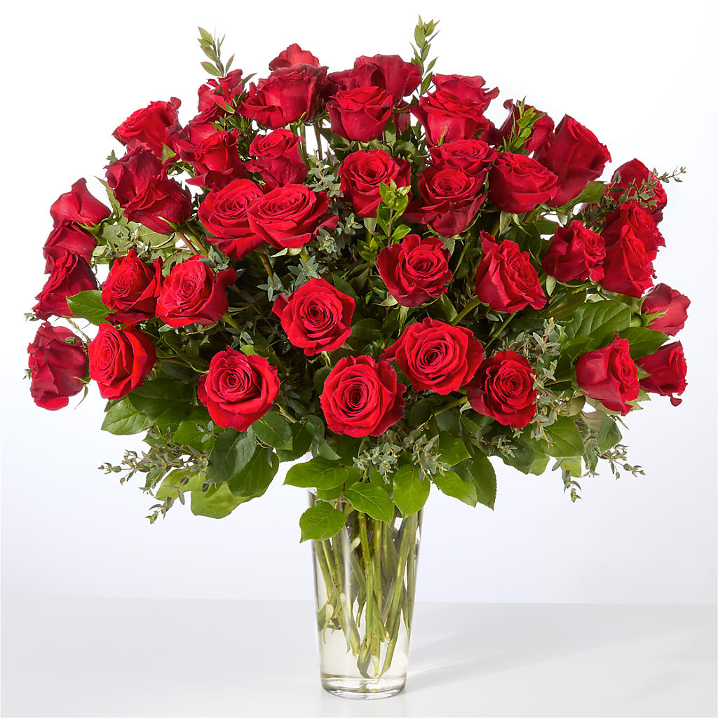 Forever Yours Fifty Stem Red Rose Bouquet – MAISON DES FLEUR BLOSSOME, Lachine PQ