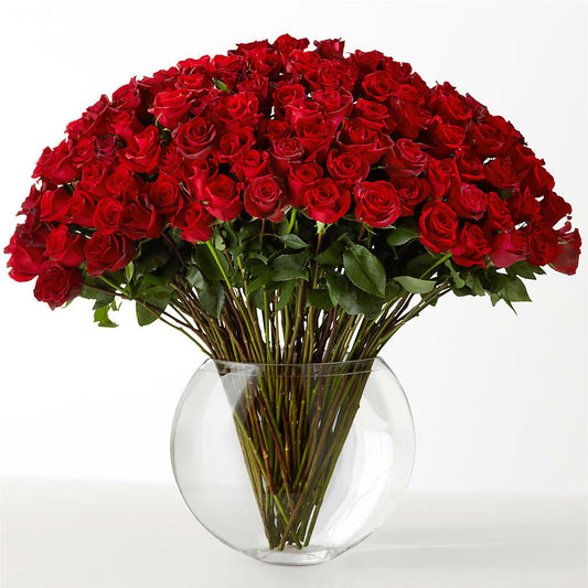 The Idealist – MAISON DES FLEUR BLOSSOME, Laval PQ