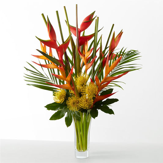 The Drama – MAISON DES FLEUR BLOSSOME, Laval PQ